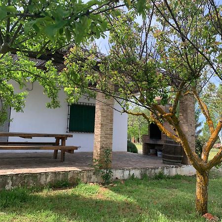 Gran Casa, Lagunas De Ruidera, Bbq, Porche, Chimenea Exteriér fotografie