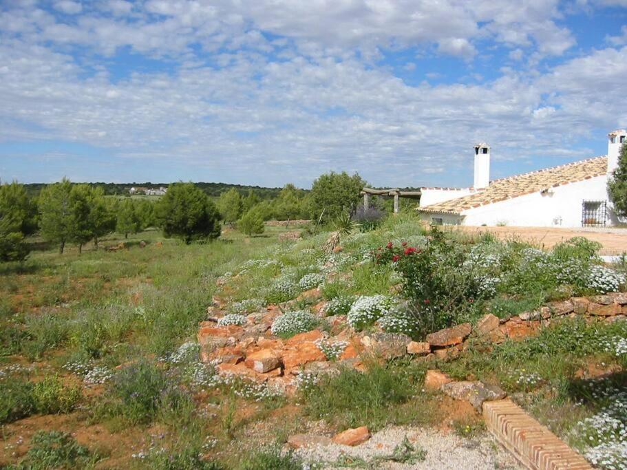 Gran Casa, Lagunas De Ruidera, Bbq, Porche, Chimenea Exteriér fotografie