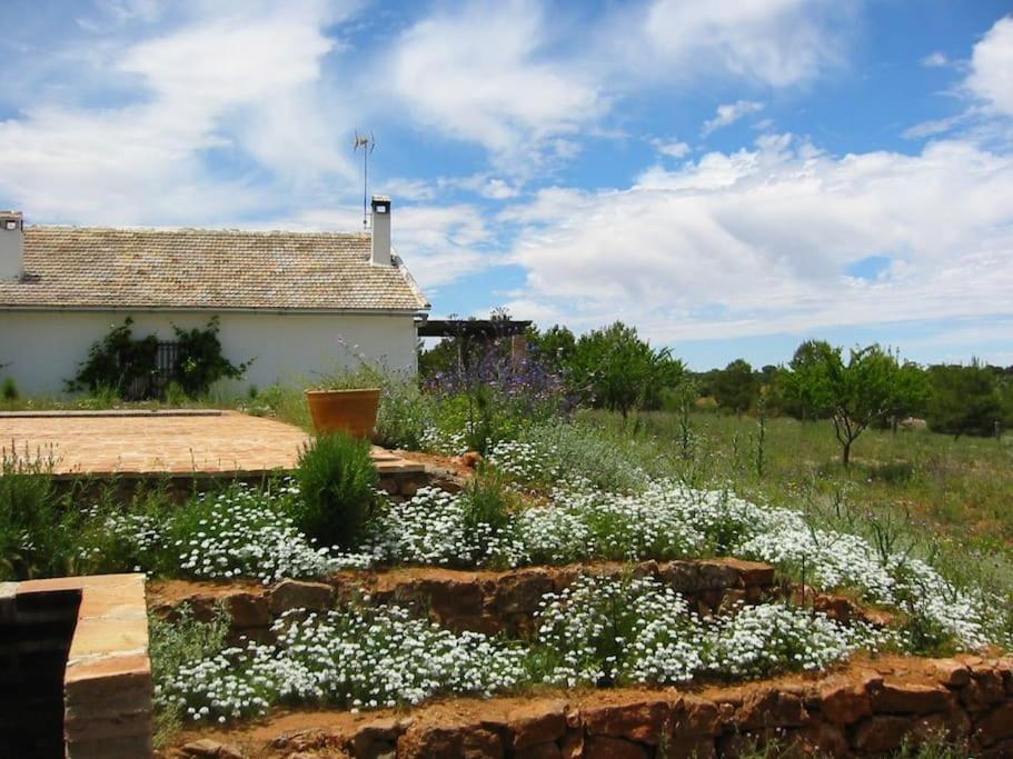 Gran Casa, Lagunas De Ruidera, Bbq, Porche, Chimenea Exteriér fotografie