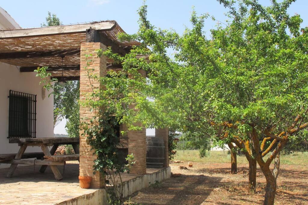 Gran Casa, Lagunas De Ruidera, Bbq, Porche, Chimenea Exteriér fotografie